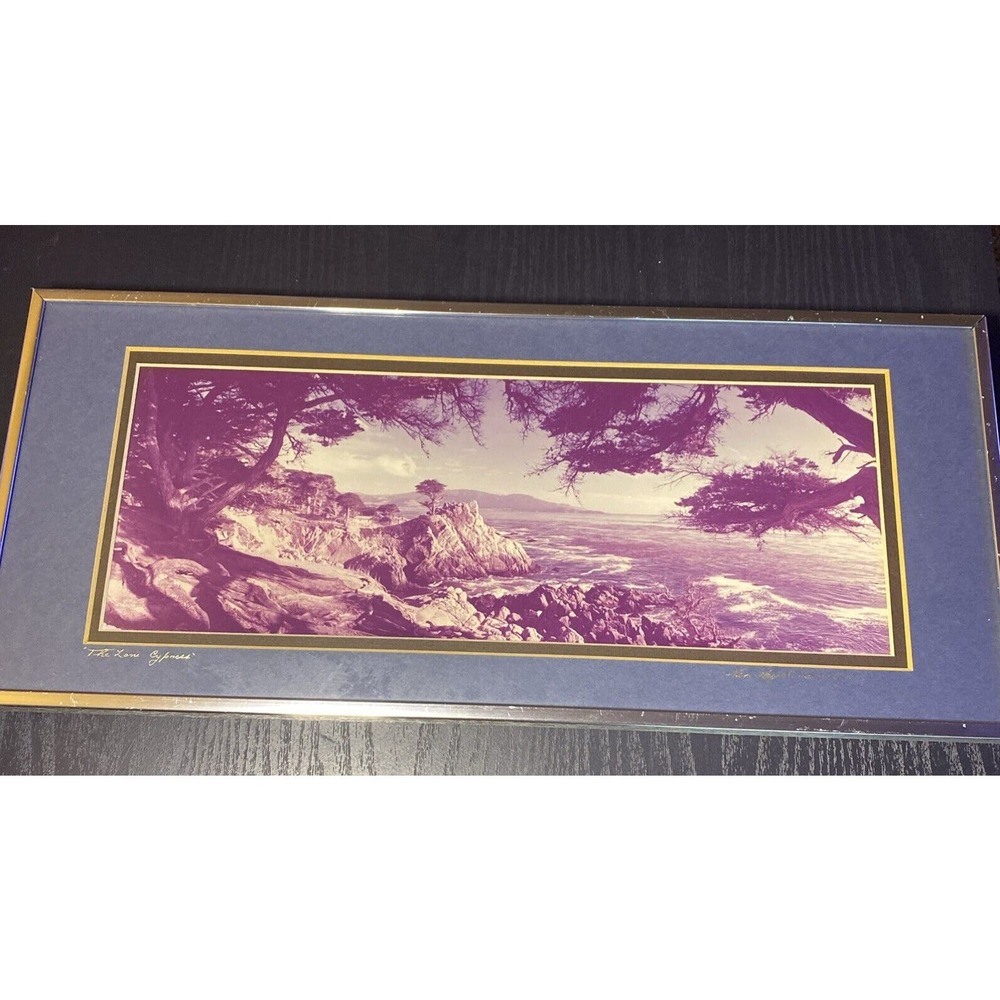 VTG RARE Gene Wright Carmel “The Lone Cypress” Photograph 1976 Signed 6x16 ORIG